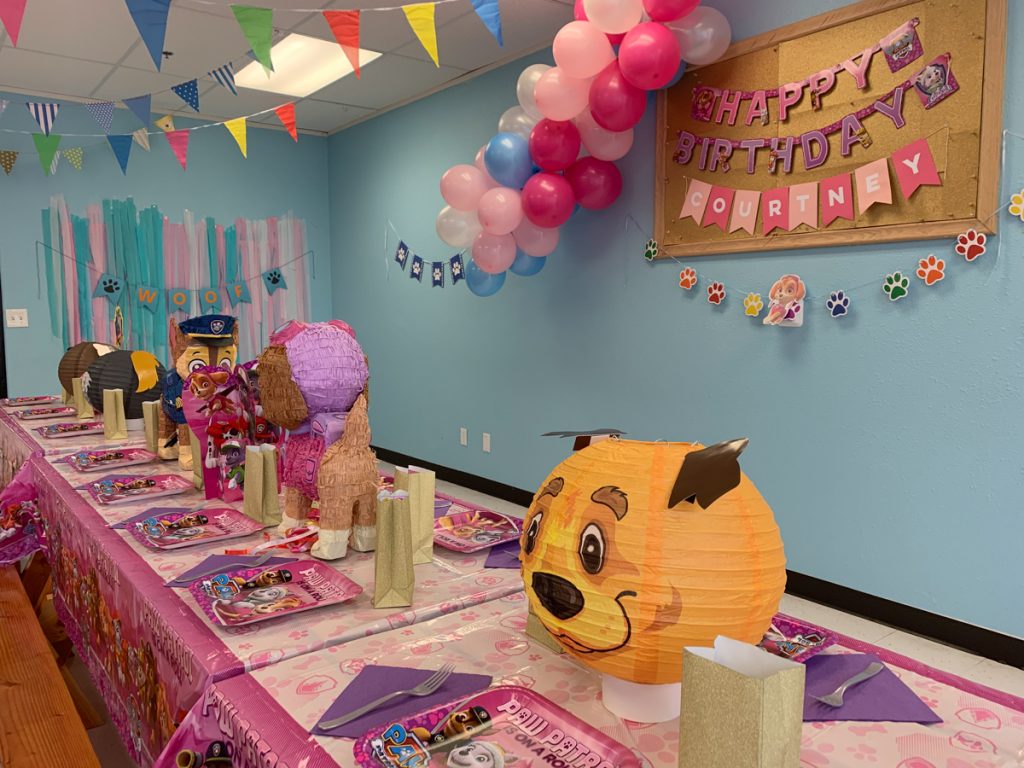 Girl Paw Patrol Party - Pink Paw Patrol Backdrop - HD Wallpaper 