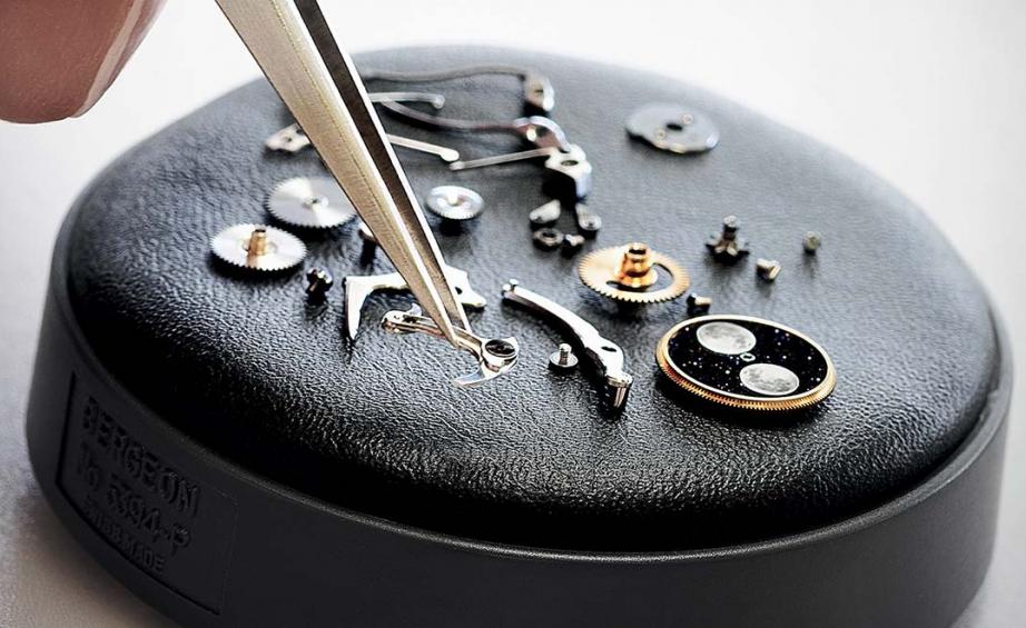 Macro Photography - HD Wallpaper 