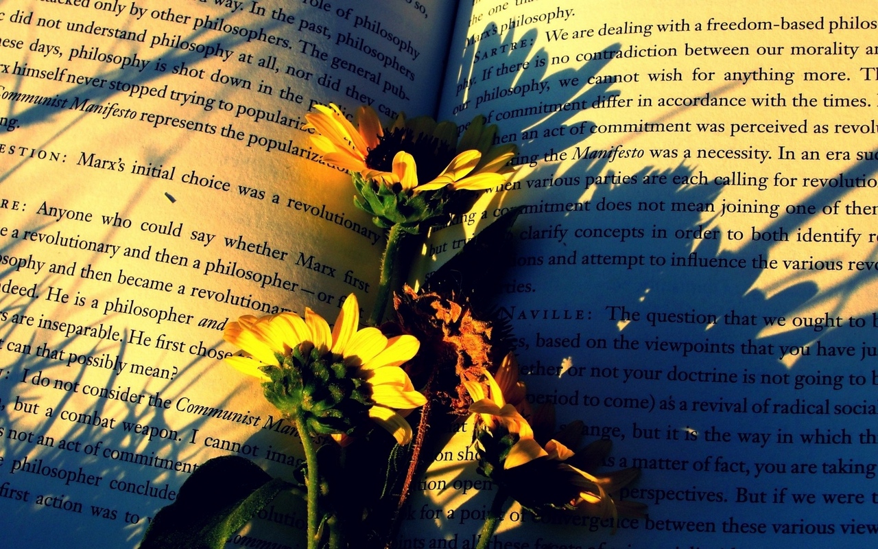Wallpaper Books, Flowers, Paper, Shadow - Books And Flower Hd - HD Wallpaper 
