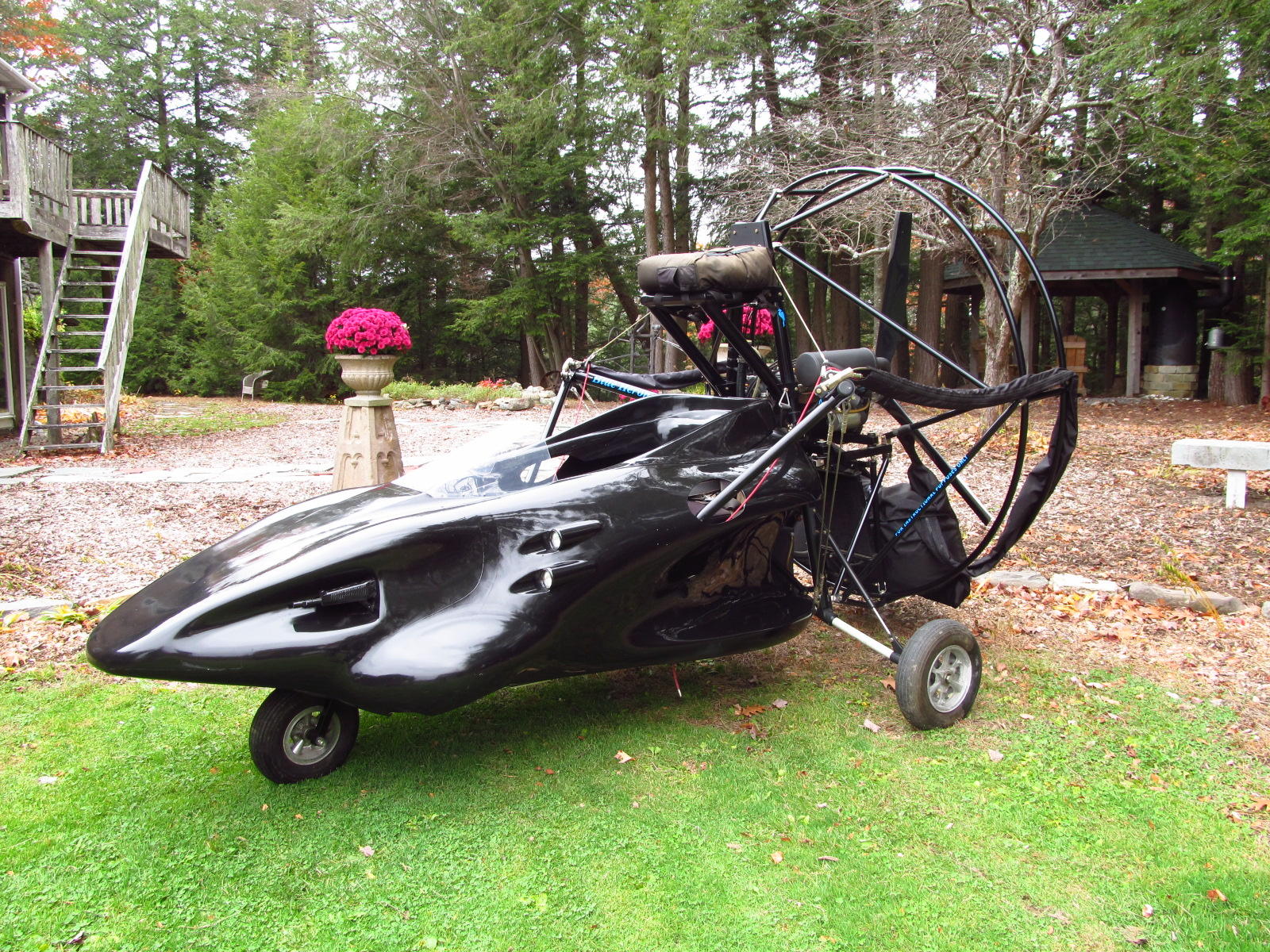 Parahawk - Grass - HD Wallpaper 