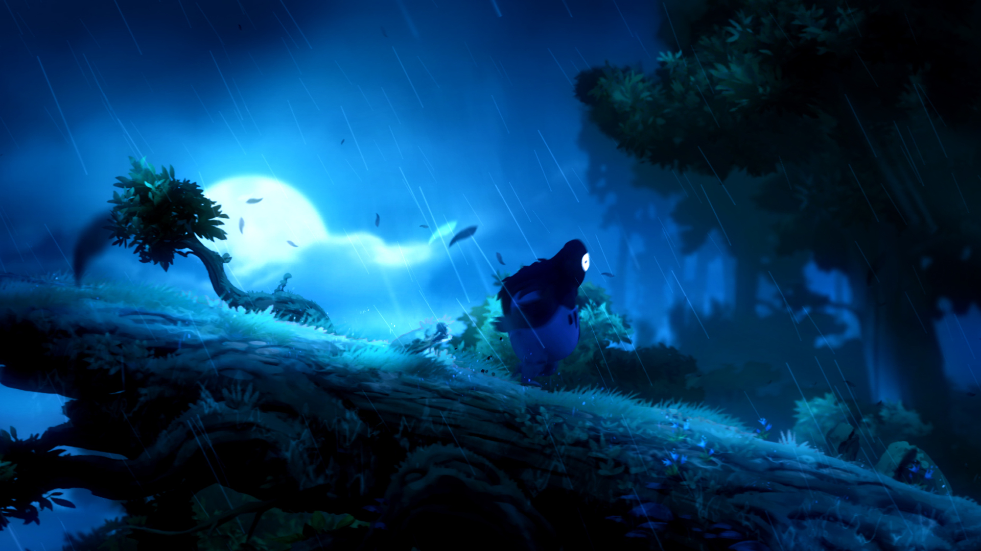Ori And The Blind Forest - HD Wallpaper 