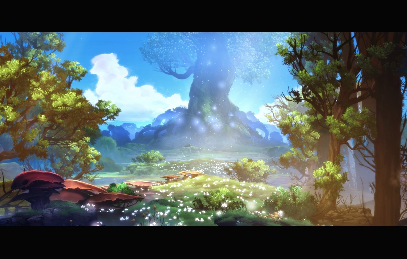 Photo Wallpaper Forest, Forest, Ori, Ori - Ori And The Blind Forest Beautiful - HD Wallpaper 