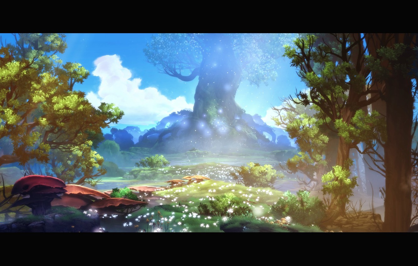 Photo Wallpaper Forest, Forest, Ori, Ori - Ori And The Blind Forest Beautiful - HD Wallpaper 