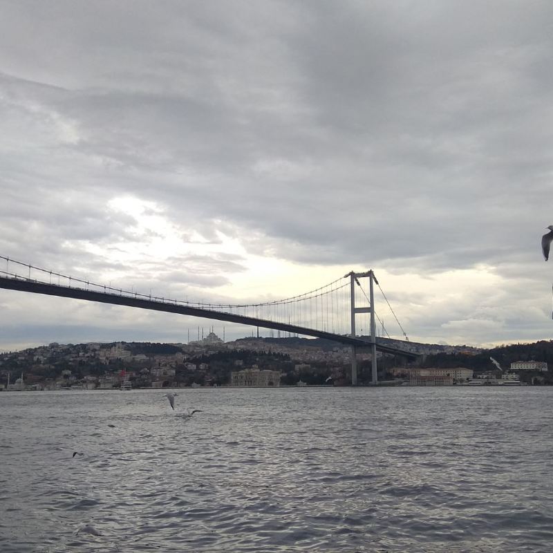 Suspension Bridge - HD Wallpaper 