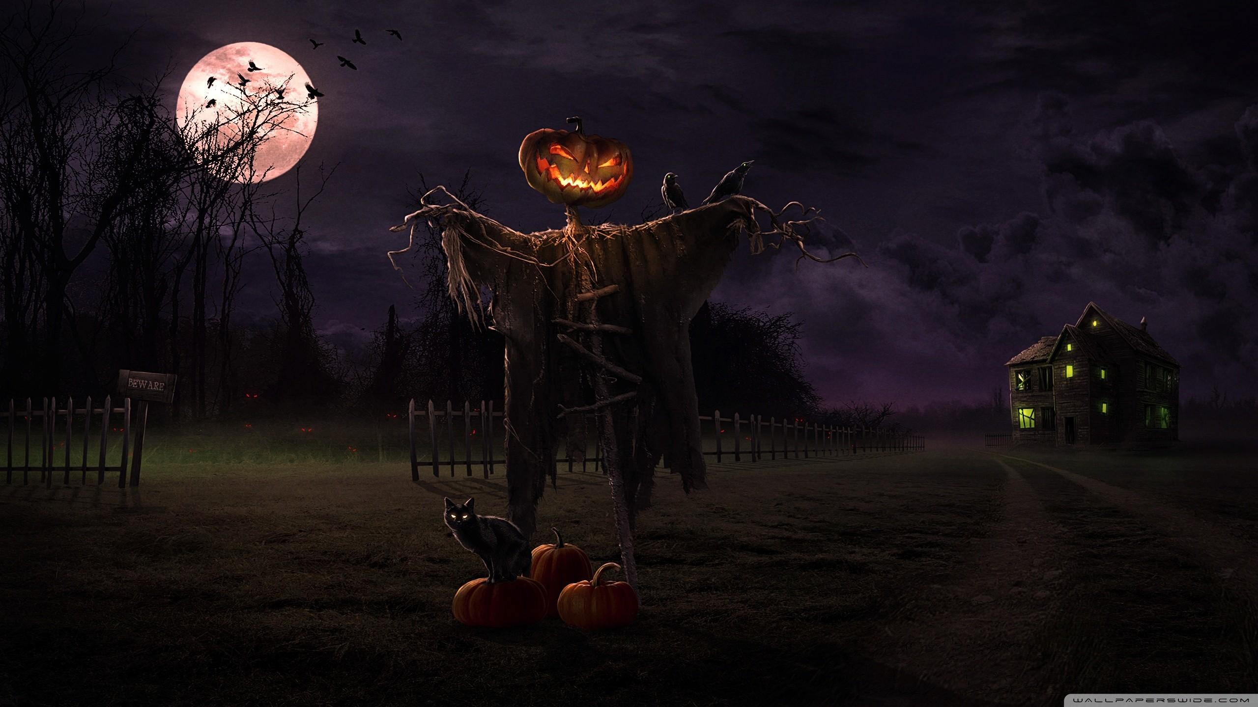 Stunning Halloween Live Wallpaper For Pc Images For - Live Wallpaper For Pc Halloween - HD Wallpaper 