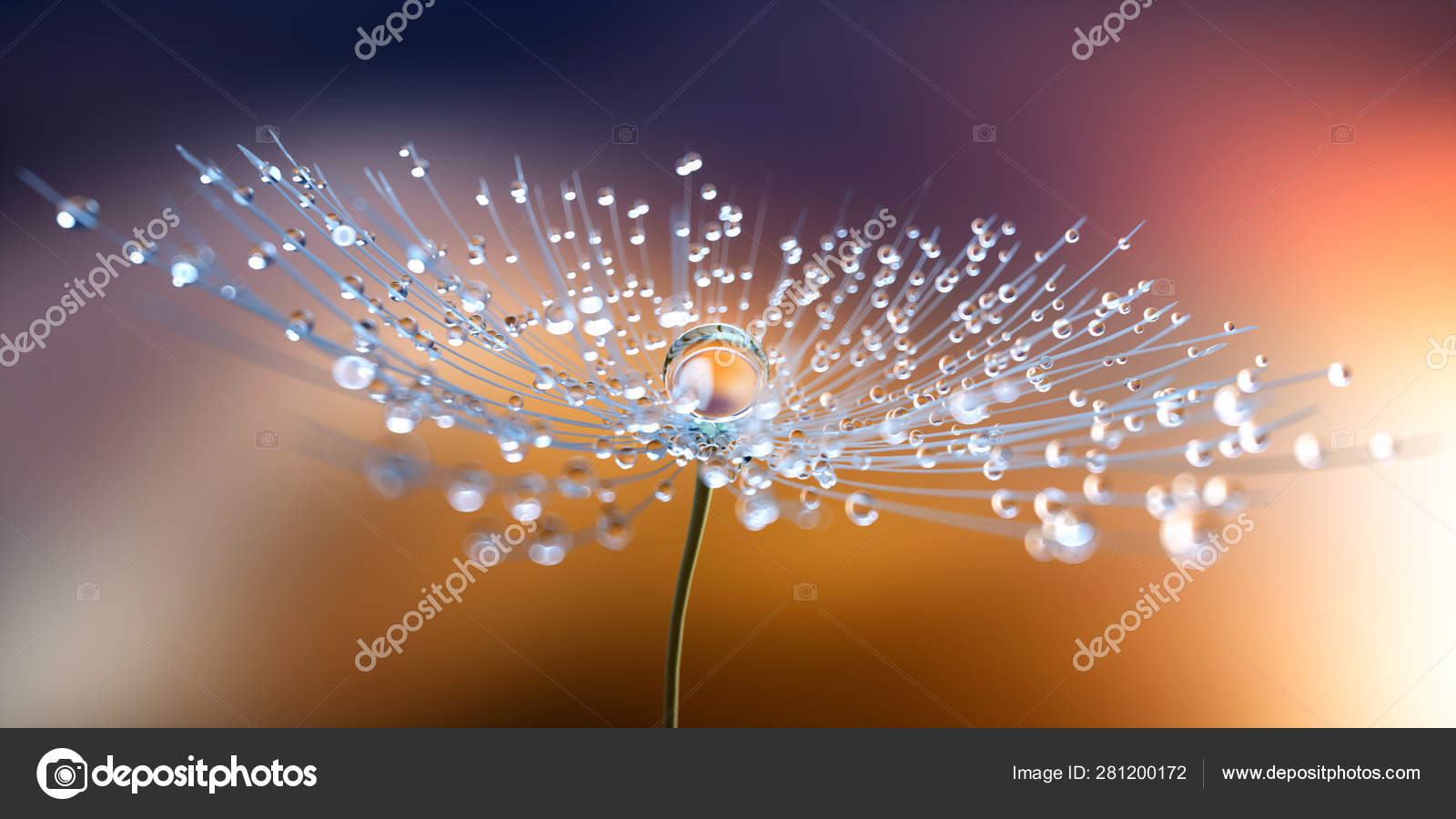 Stock Photography - HD Wallpaper 