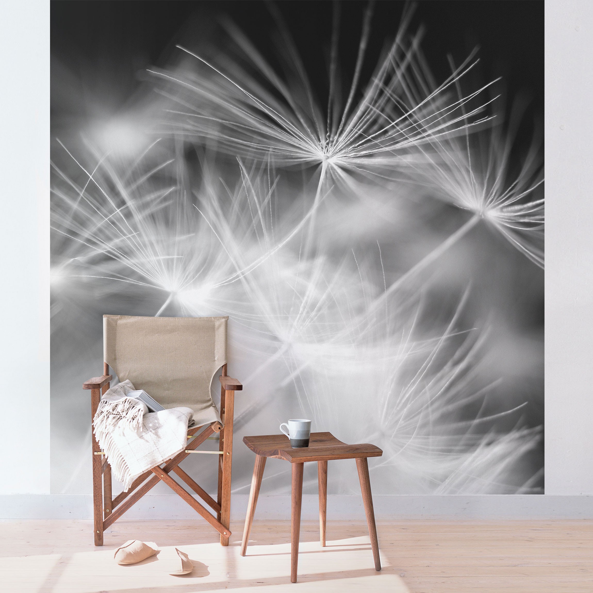 Fototapete Pusteblume - HD Wallpaper 