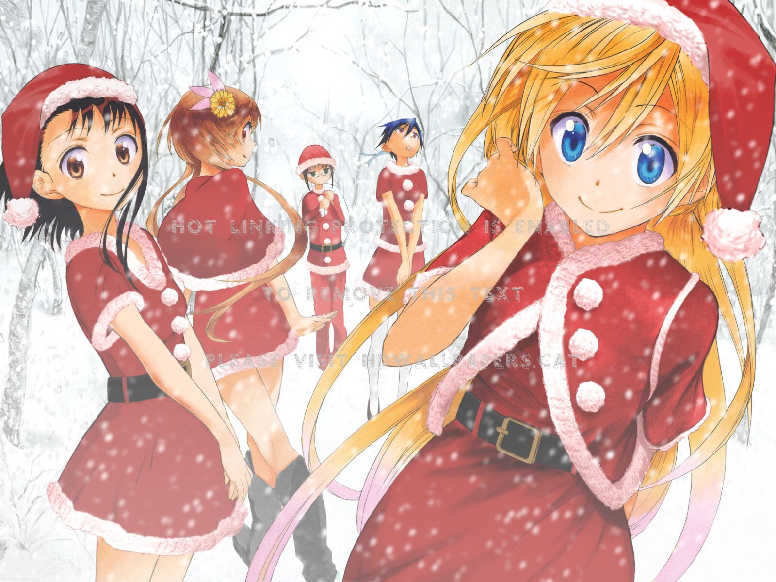 Nisekoi Xmas Girls Seishirou Tachibana Blue - ニセコイ クリスマス - HD Wallpaper 
