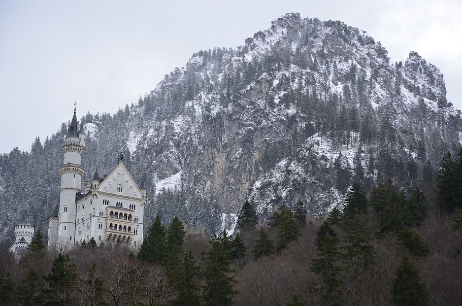 Castle Neuschwanstein, Germany, Bavaria, Places Of - Neuschwanstein Castle - HD Wallpaper 