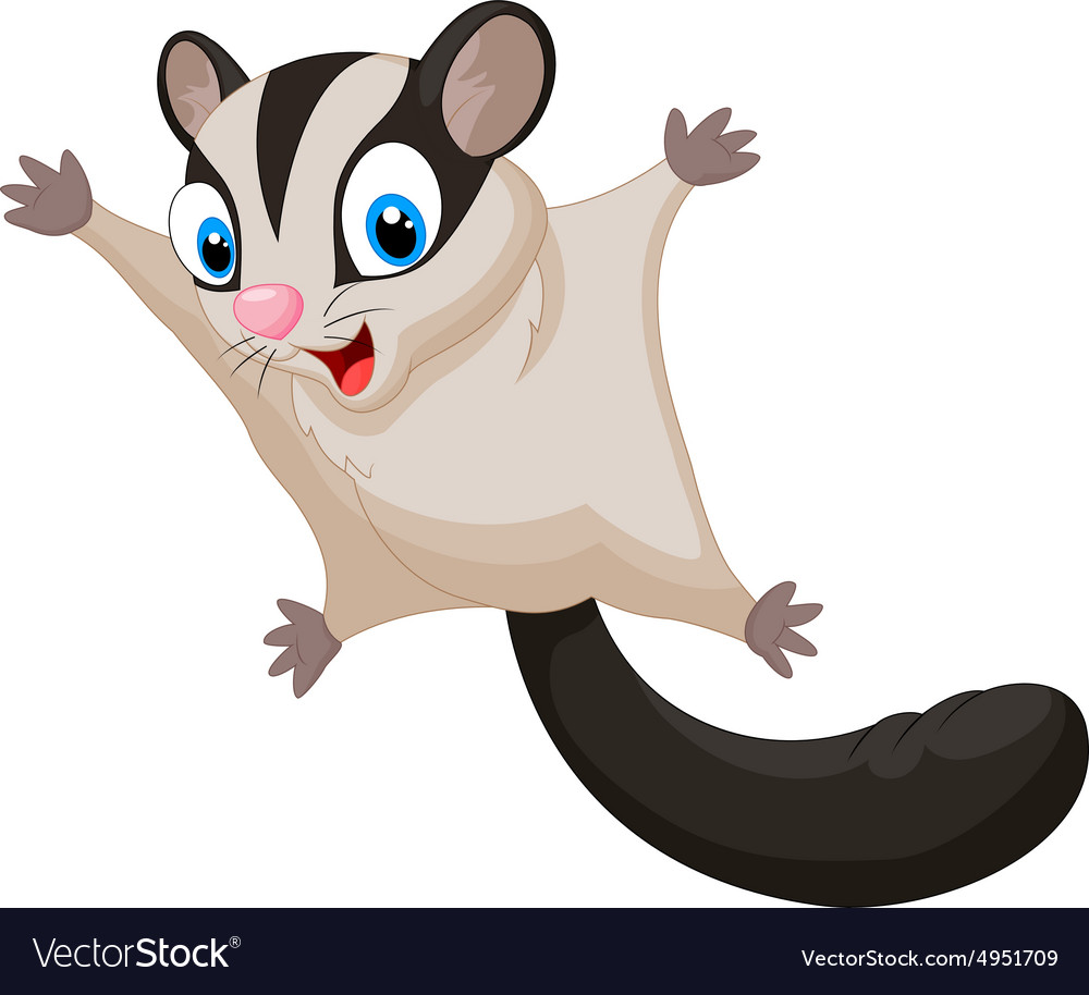 Sugar Glider Cartoon - HD Wallpaper 
