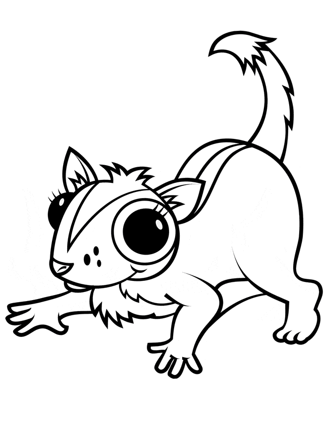 Free Sugar Glider Coloring Page - Cartoon - HD Wallpaper 