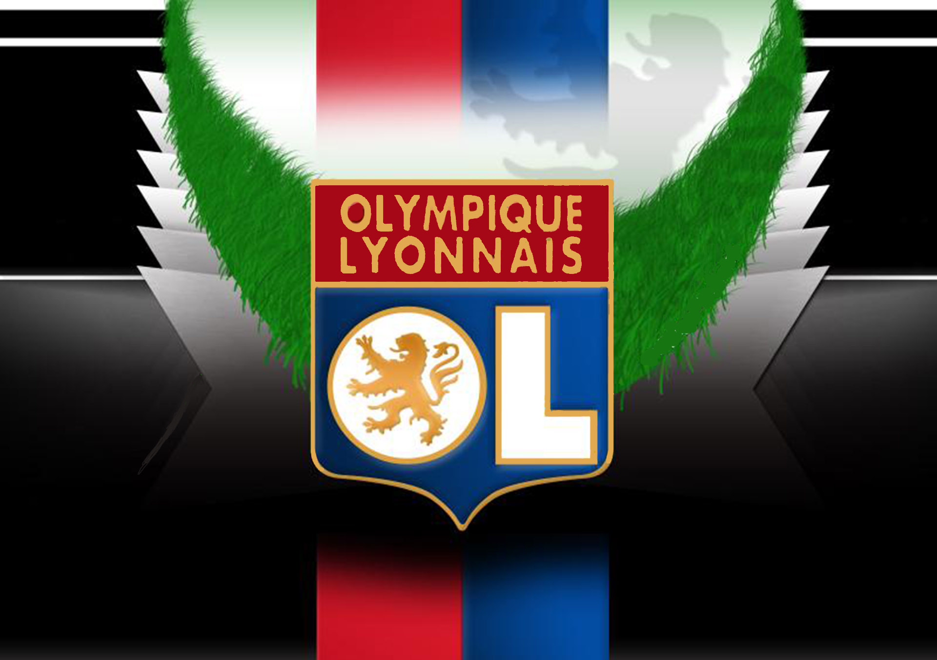 Lyon Wallpaper - Olympique Lyonnais - HD Wallpaper 