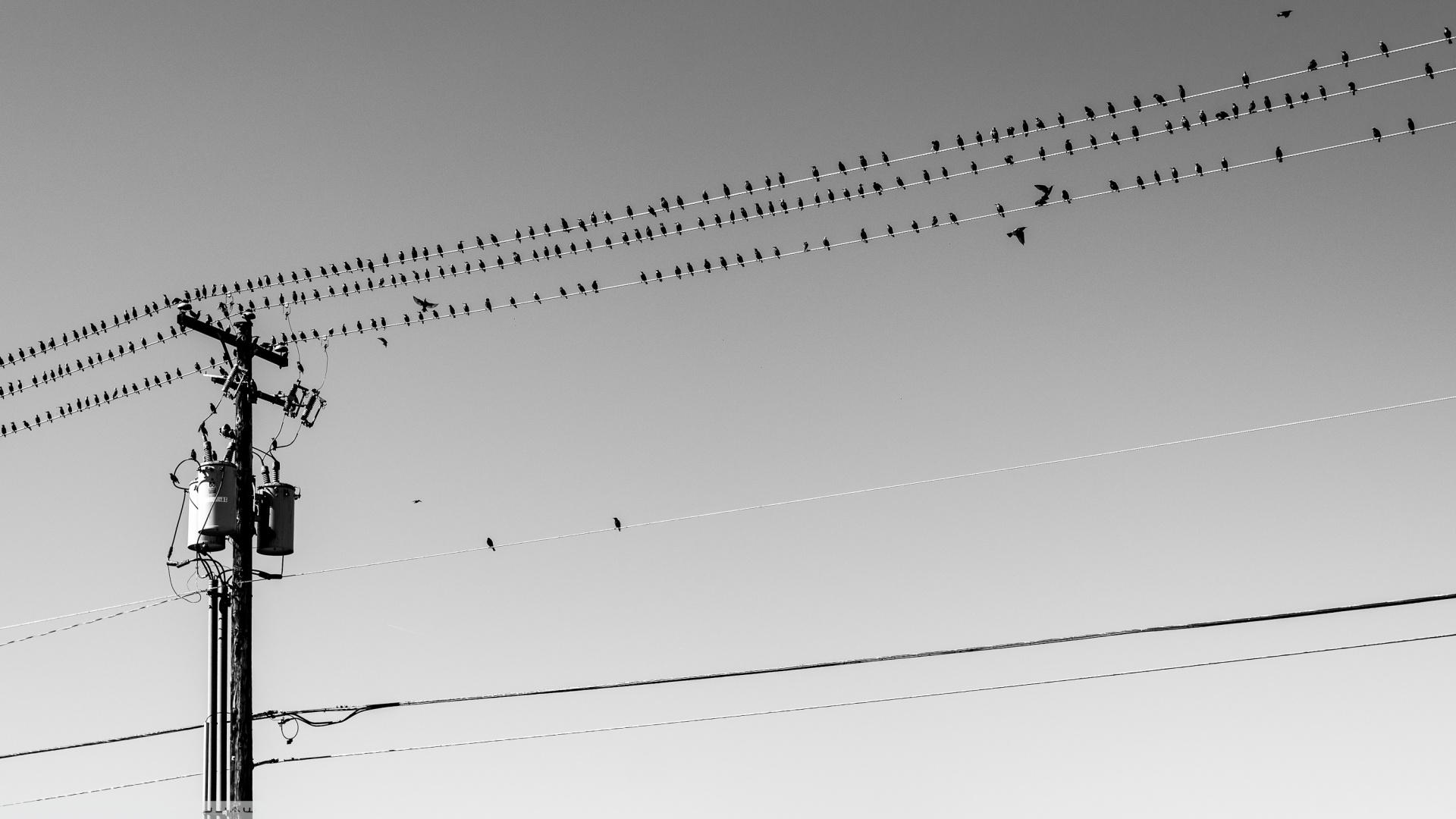 Overhead Power Line - HD Wallpaper 