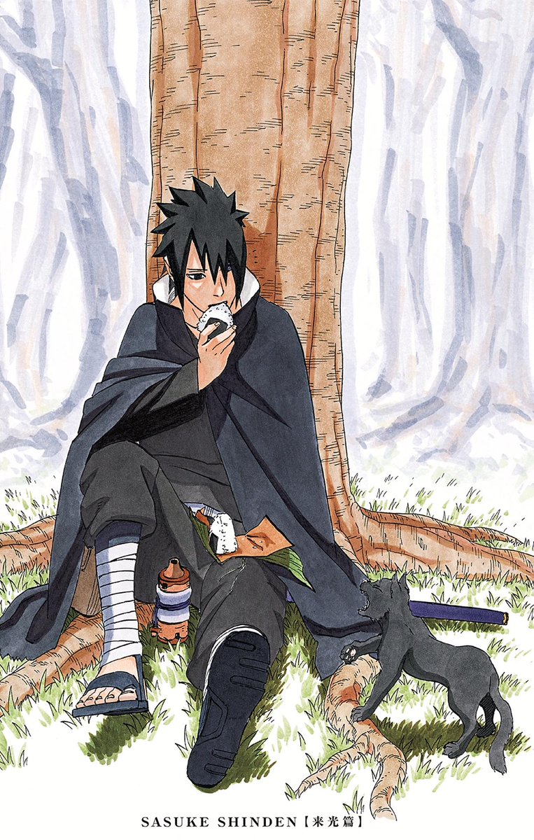 Sasuke End Of Shippuden - HD Wallpaper 