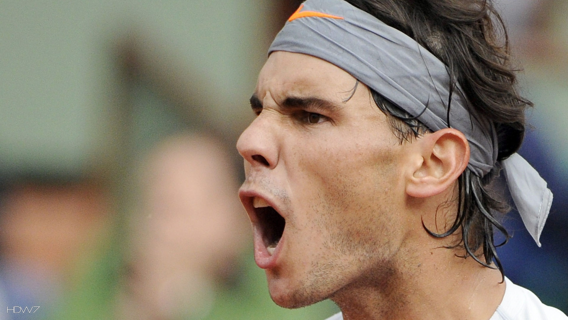 Rafael Nadal Shouting Hd Wallpaper - Nadal Shouting - HD Wallpaper 