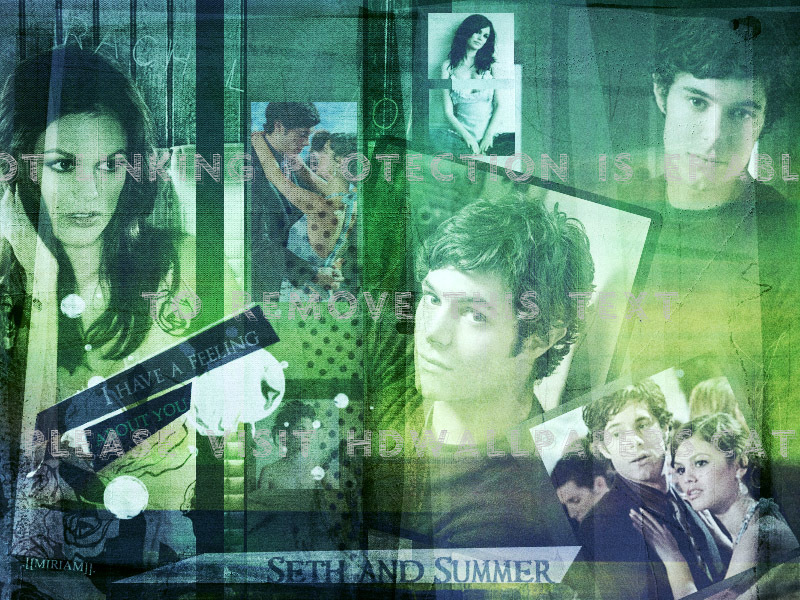 Seth And Summer Adam Brody The Oc Rachel Tv - Poster - HD Wallpaper 