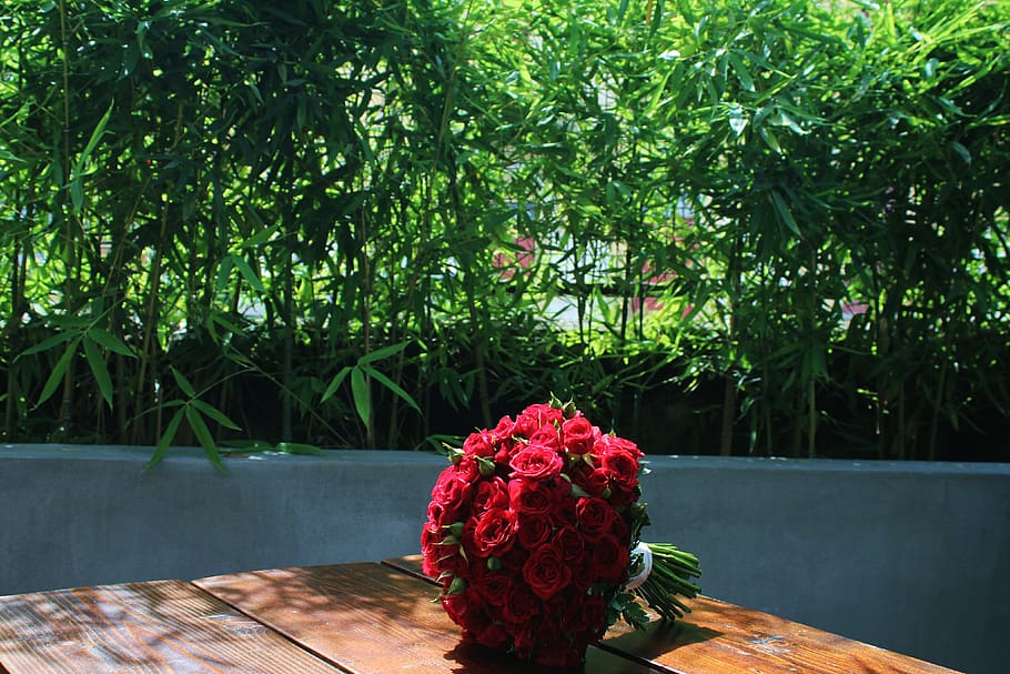 Red Ginger - HD Wallpaper 