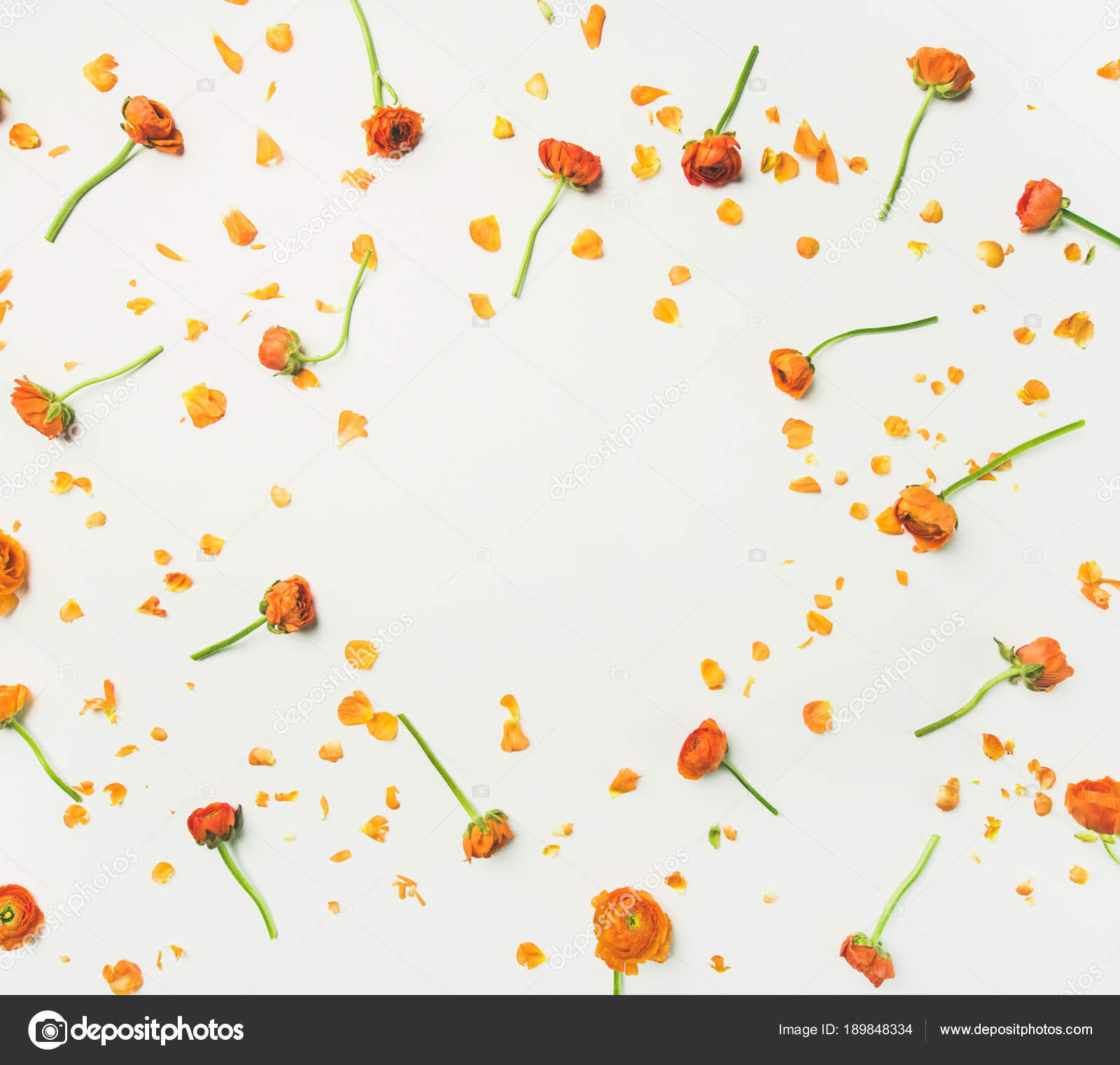 De Jeter De Fleurs - HD Wallpaper 