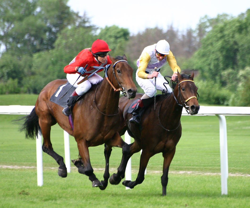 Horse Racing Hd Wallpaper - German Horse Racing - HD Wallpaper 