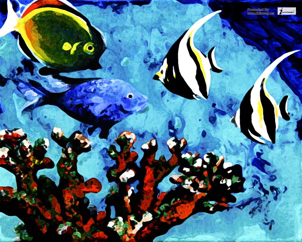 Coral Reef Fish - HD Wallpaper 
