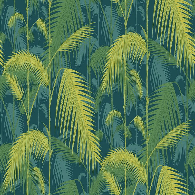 Cs Palm Jungle - Attalea Speciosa - HD Wallpaper 