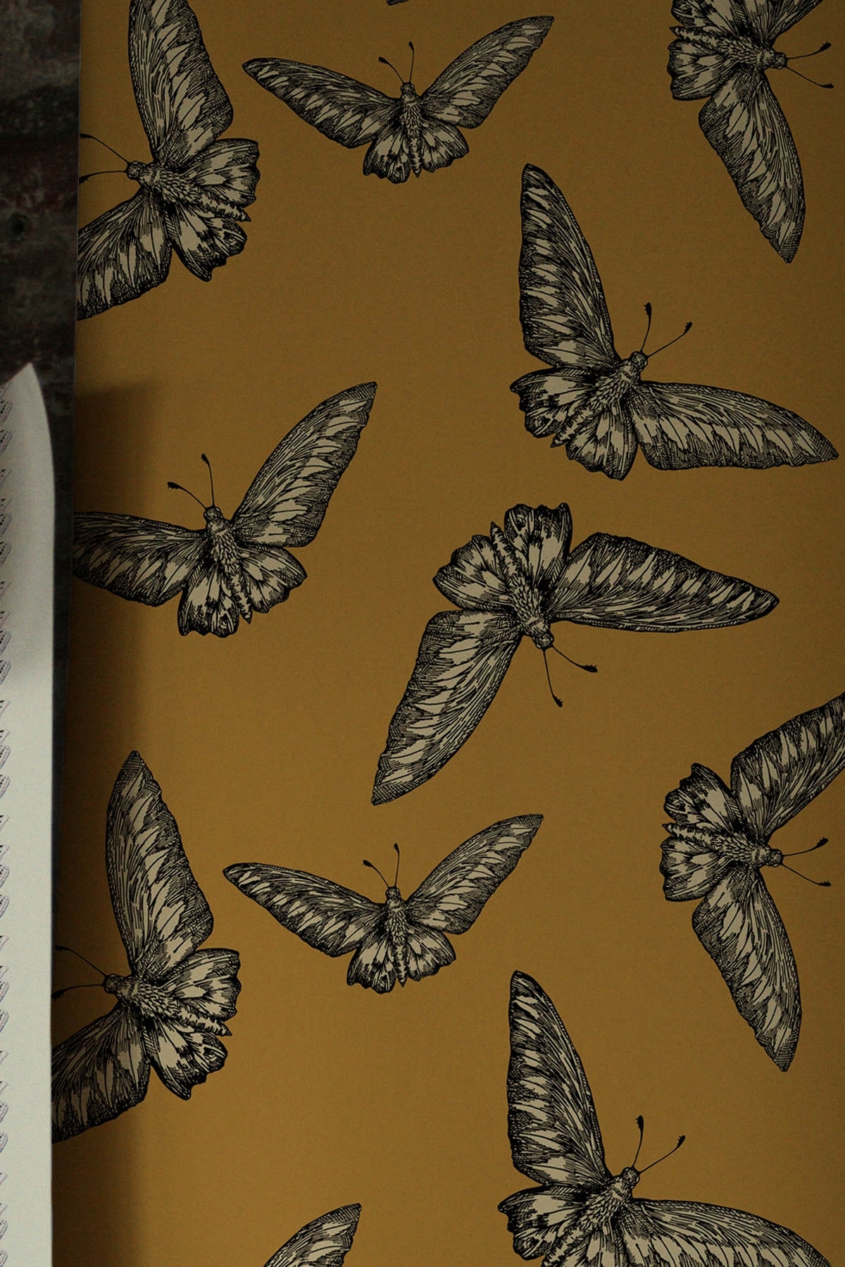 Cool Pics Collection - HD Wallpaper 