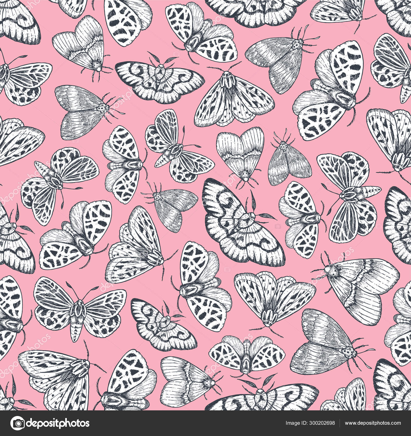 Moth Background - HD Wallpaper 