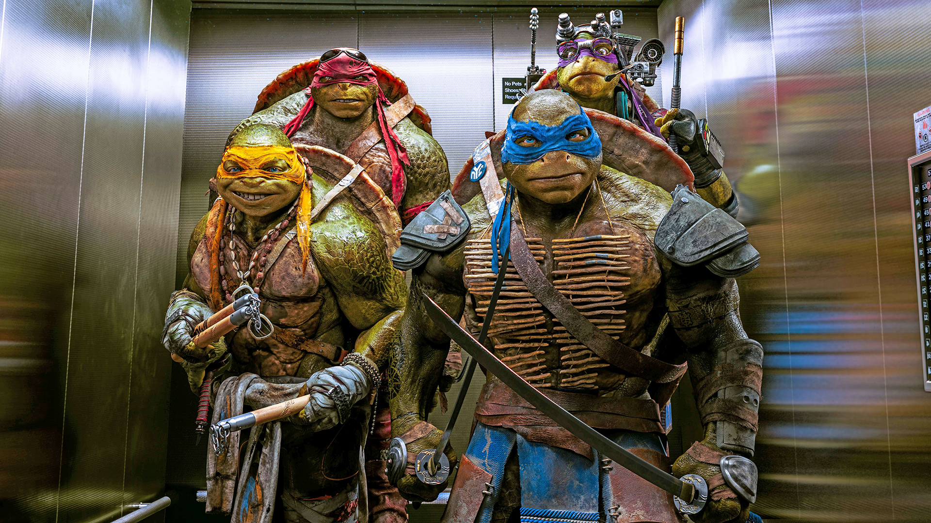 Teenage Mutant Ninja Turtles Names Michelangelo - HD Wallpaper 