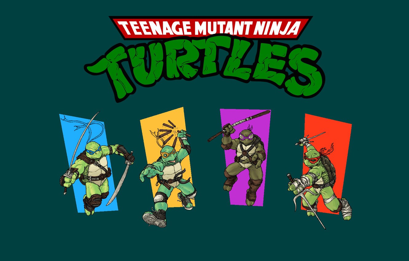 Photo Wallpaper Rafael, Tmnt, Raphael, Leonardo, Donatello, - Teenage Mutant Ninja Turtles Flag - HD Wallpaper 