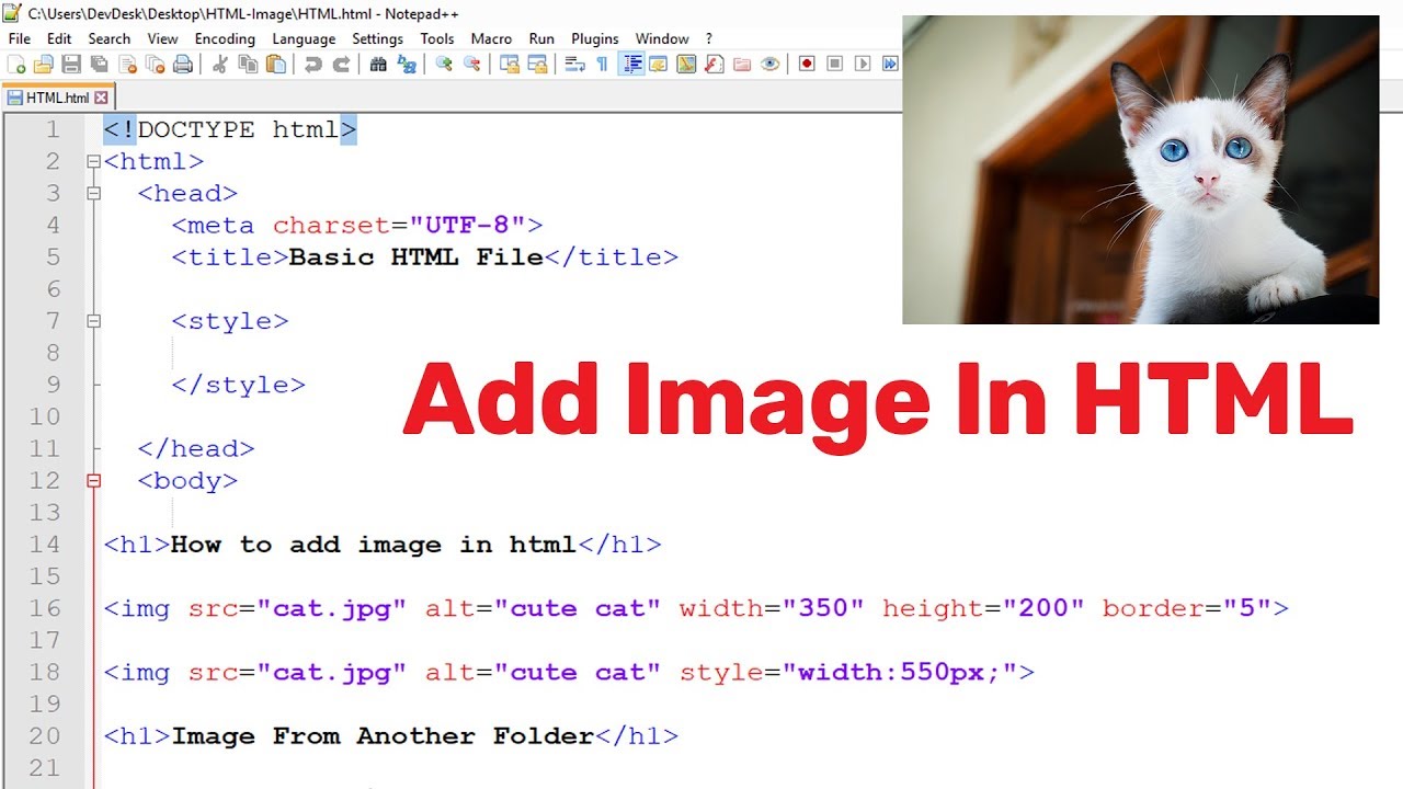 Squitten - HD Wallpaper 