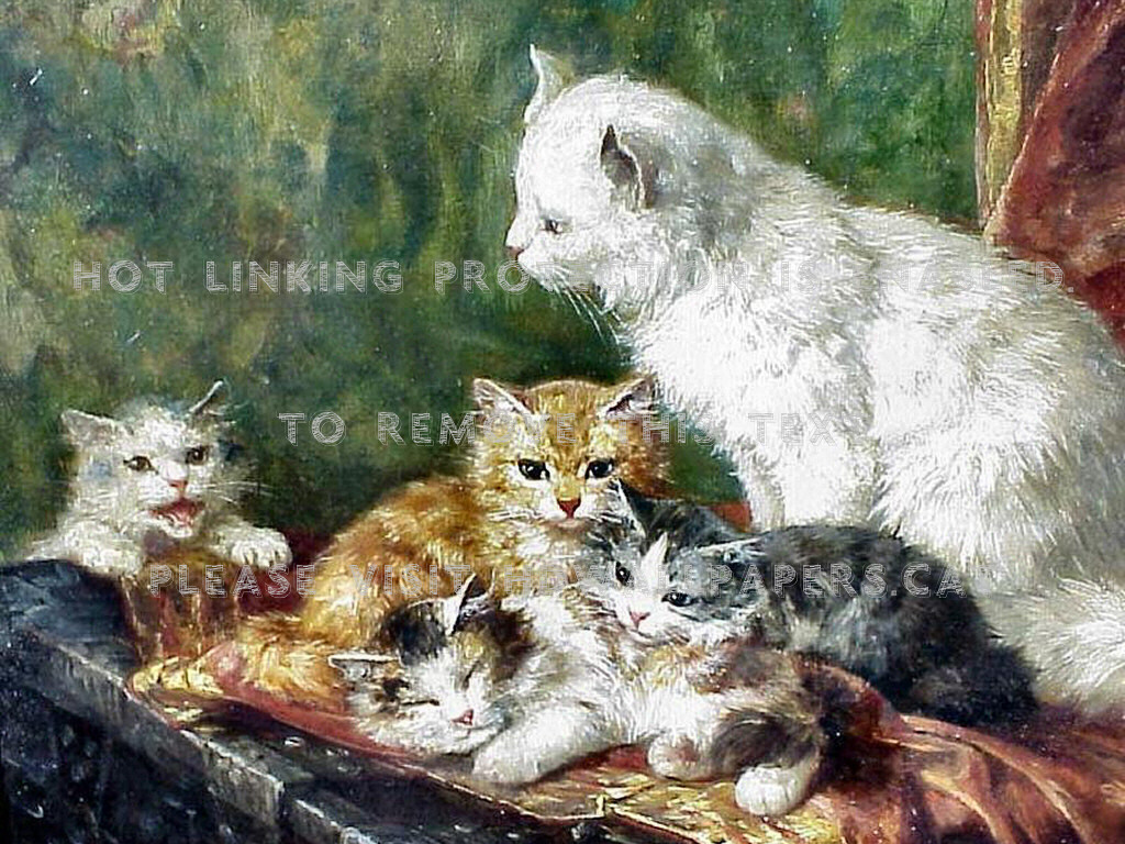 Cat And Her Kittens F Marie Laur Animal Art - Kitten - HD Wallpaper 