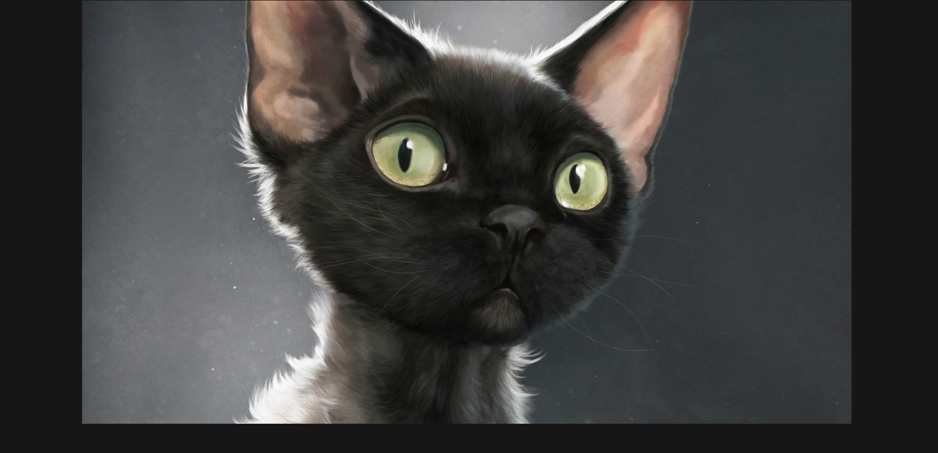 Черно Серый Кот - HD Wallpaper 