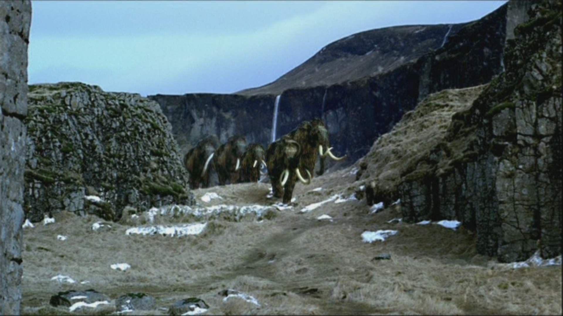 Woolly Mammoth Wallpapers - HD Wallpaper 