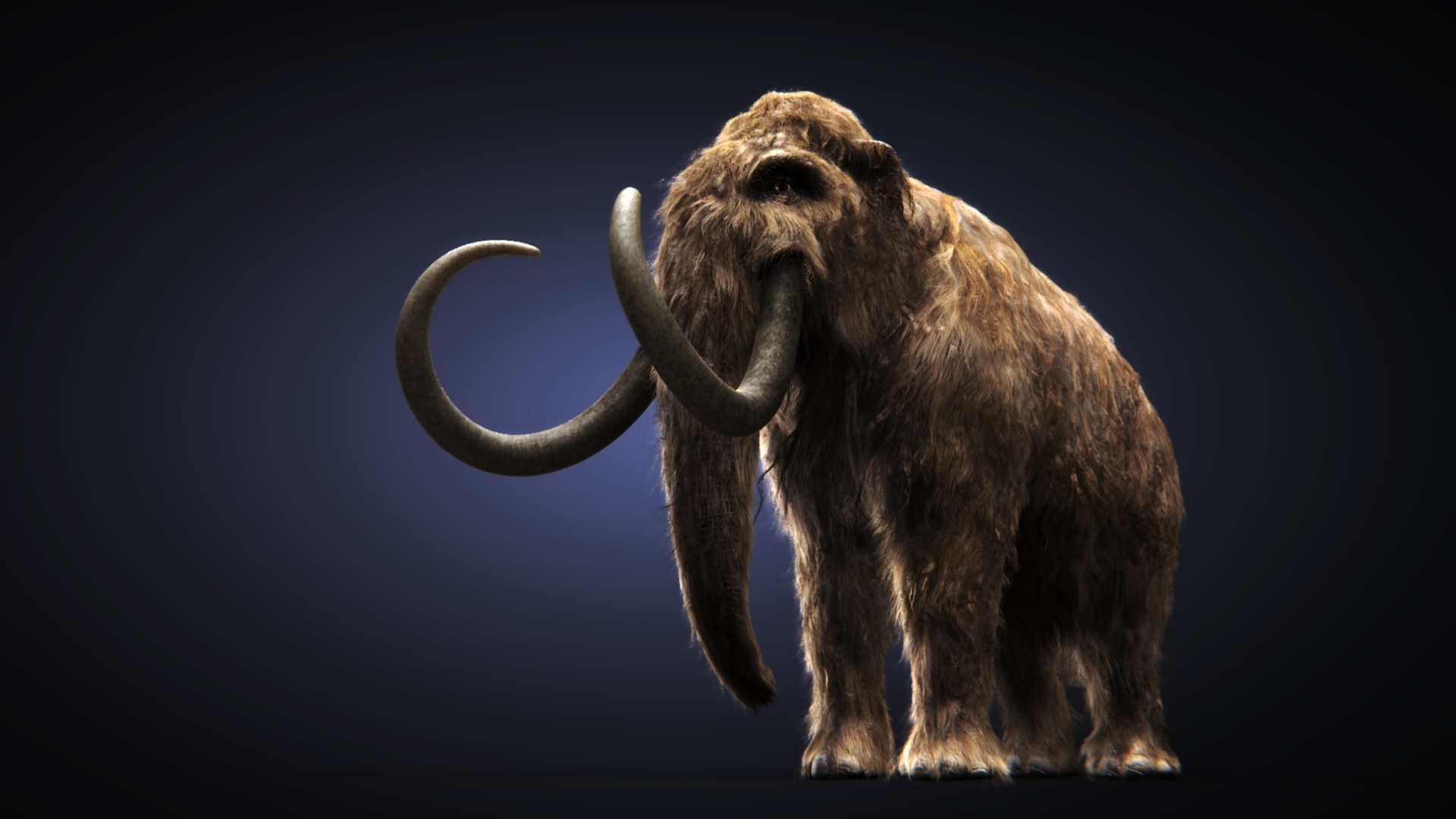 Mammoth - HD Wallpaper 