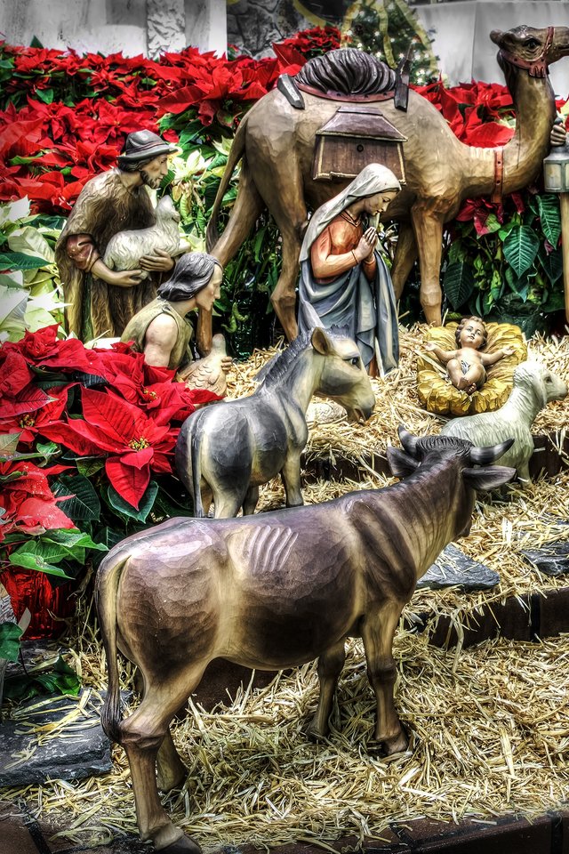 Holiday Traditions In Mexico Christmas - HD Wallpaper 