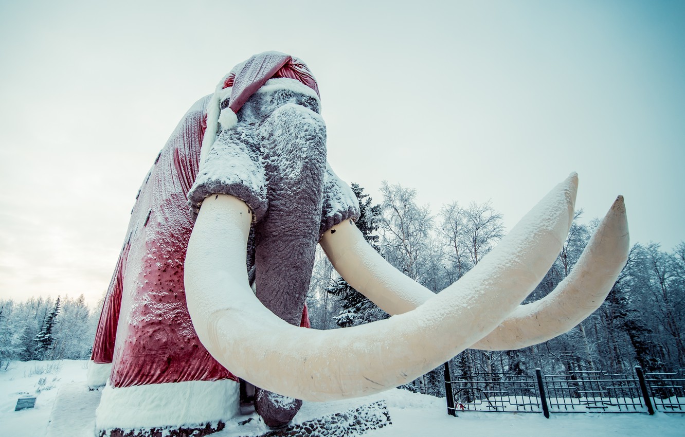 Photo Wallpaper New Year, Mammoth, Salekhard - Salekhard Mammoth - HD Wallpaper 