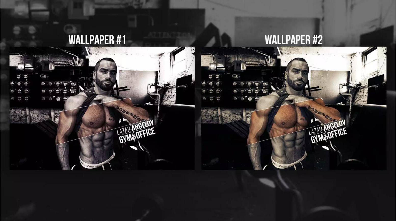 Bodybuilding - HD Wallpaper 