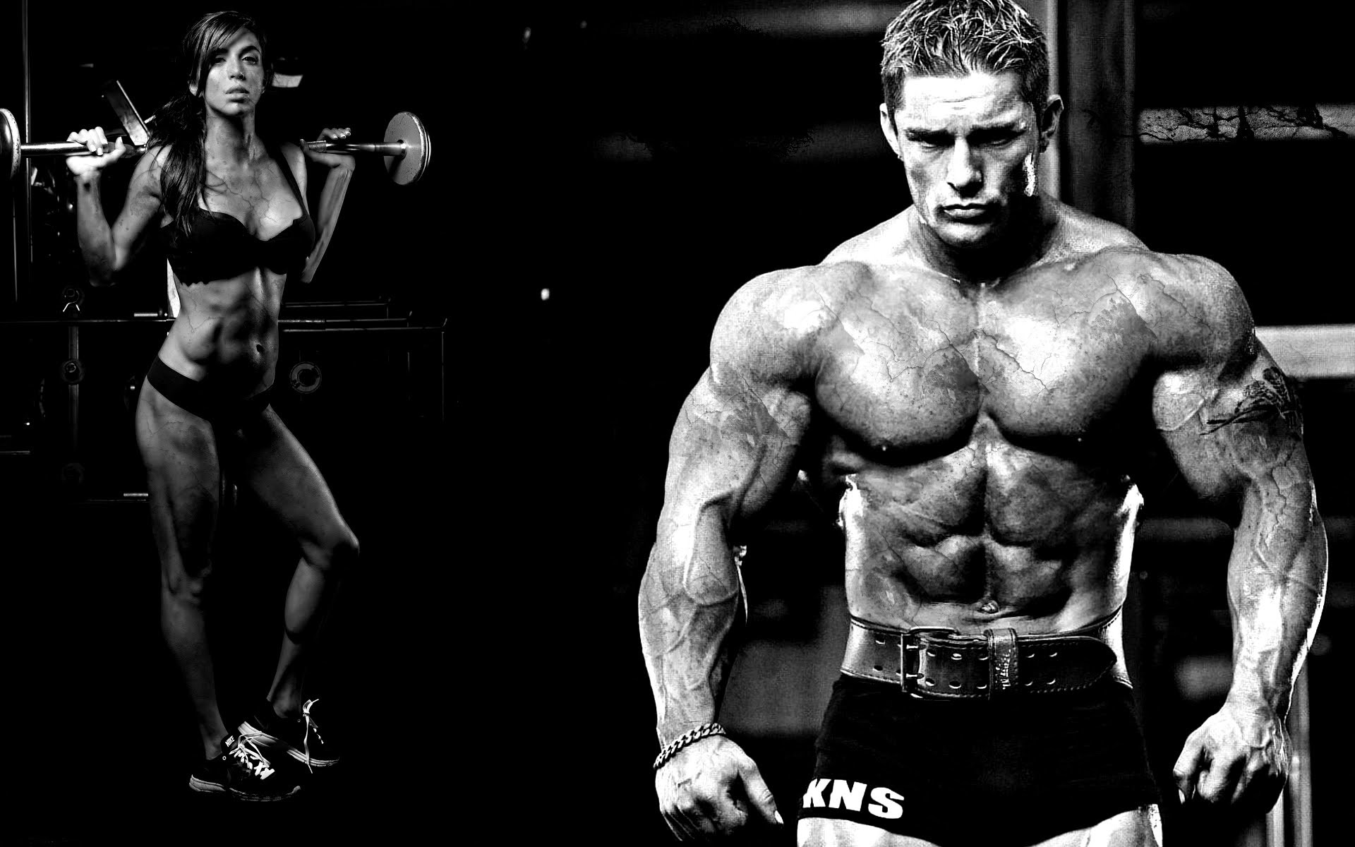 Bodybuilding Wallpaper Hd 2015 97623 - Flex Lewis Bodybuilder Junior - HD Wallpaper 
