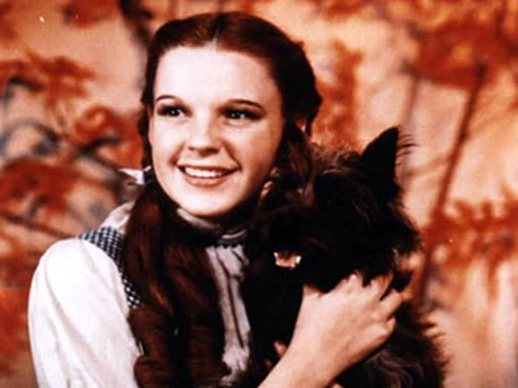 Dorothy And Toto Fondo De Pantalla - Wizard Of Oz Dorothy And Toto - HD Wallpaper 