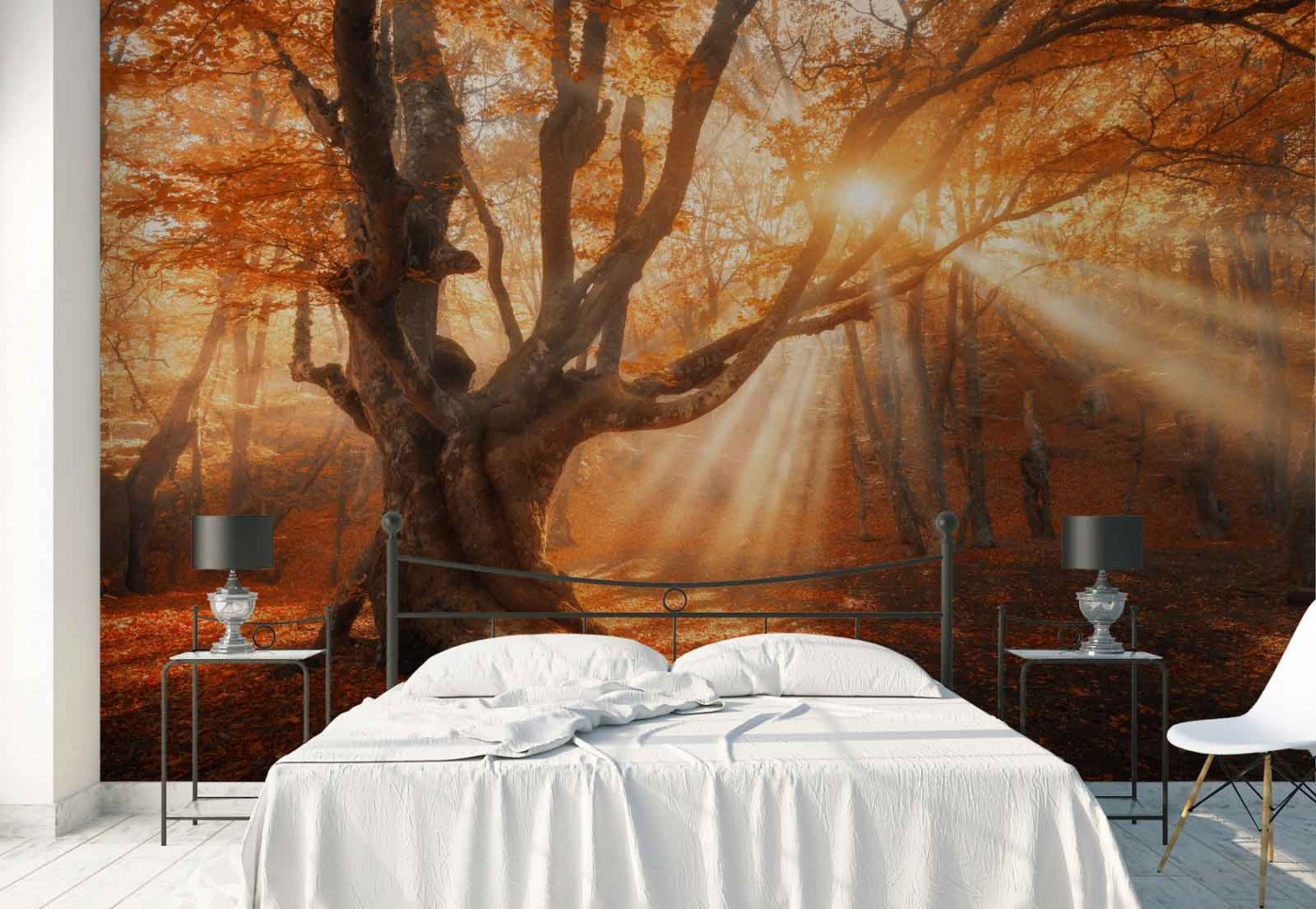 Beautiful Forest Landscape Photography - HD Wallpaper 