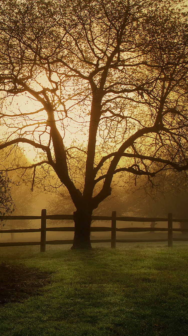 Pride And Prejudice Wallpaper Iphone - HD Wallpaper 