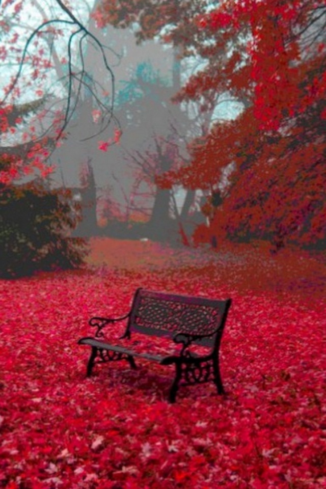 Red Autumn Wallpaper Iphone - HD Wallpaper 