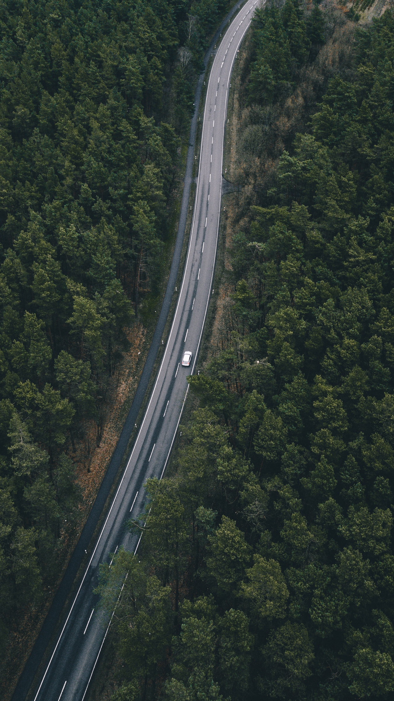 Wallpaper Road, Trees, Top View - Nokia 1190 - HD Wallpaper 