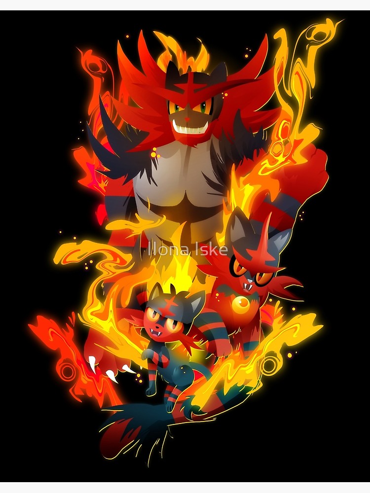 Litten Torracat Incineroar - HD Wallpaper 
