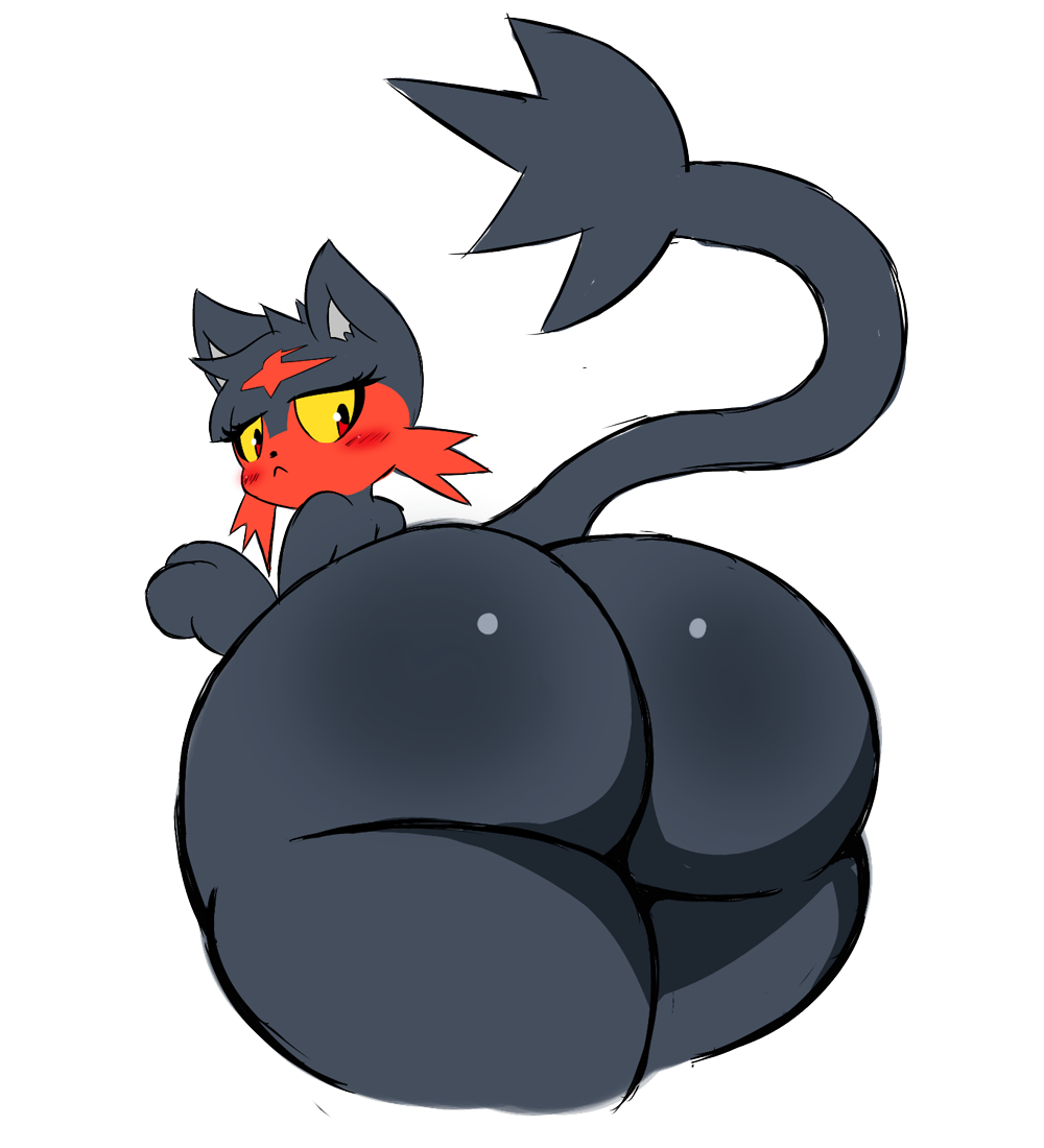 Pokémon Sun And Moon Pokkén Tournament Cat Ash Ketchum - Cartoon - HD Wallpaper 