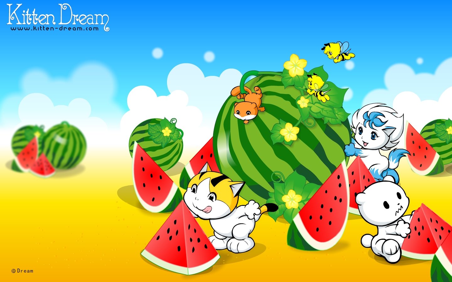 Kitten-dream Cartoon Characters 1440*900 No - Kitten Dream - HD Wallpaper 