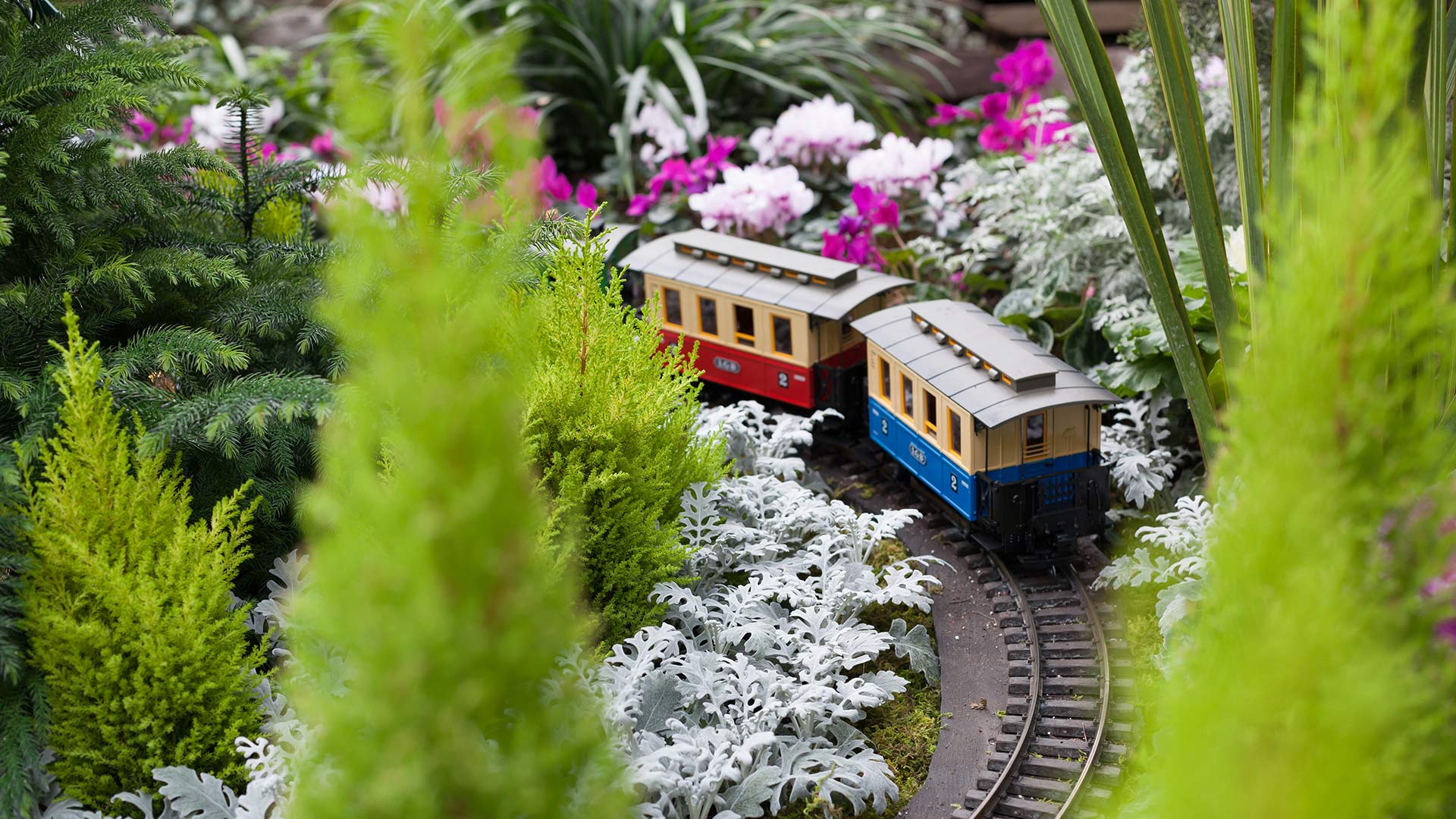 Train - HD Wallpaper 