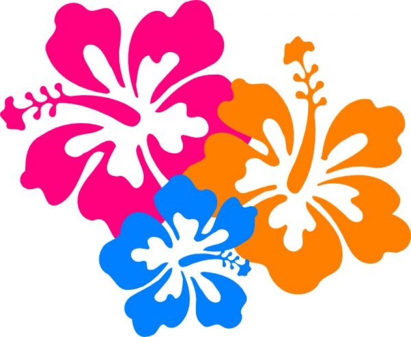 Luau Clip Art Borders Free - Hawaiian Flowers Clip Art - HD Wallpaper 