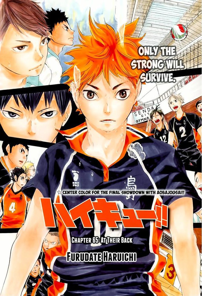 Shouyou Haikyuu Best Hd Wallpaper - Haikyu!! - HD Wallpaper 