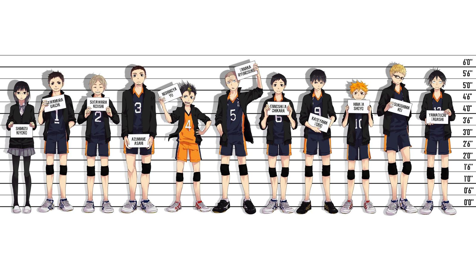 Haikyuu Anime Characters - HD Wallpaper 